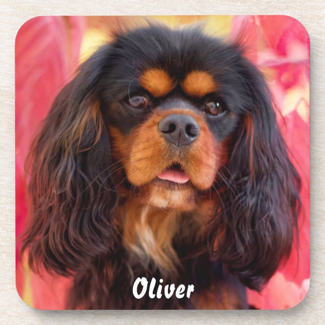 Black and Tan Cavalier King Charles Spaniel Dog Coaster (Front)
