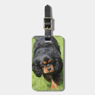 Black and Tan Cavalier King Charles Spaniel Dog Luggage Tag