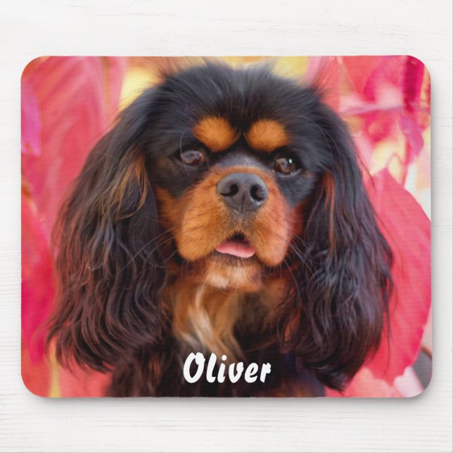 Black and Tan Cavalier King Charles Spaniel Dog Mouse Pad (Front)