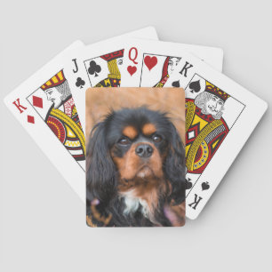 Black and Tan Cavalier King Charles Spaniel Dog Playing Cards