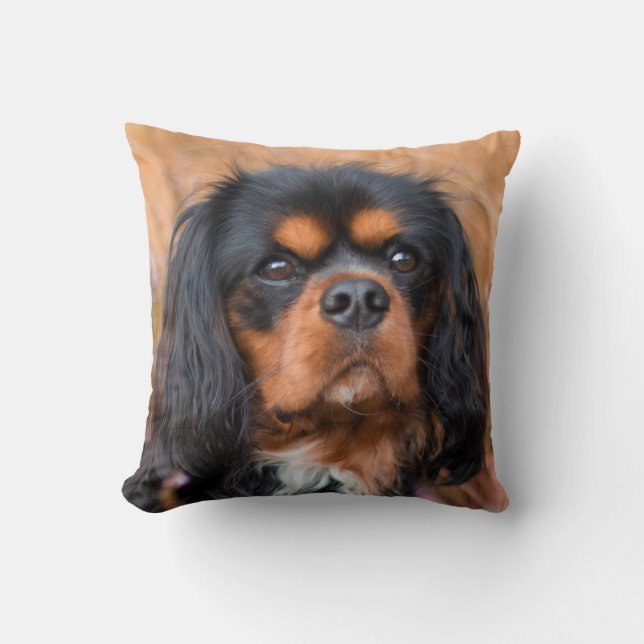 Black and Tan Cavalier King Charles Spaniel Dog Throw Pillow (Front)
