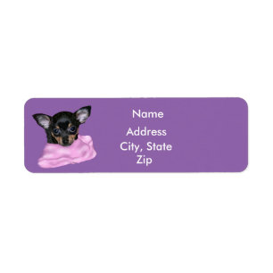 Black and Tan Chihuahua Puppy
