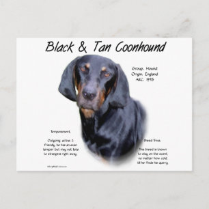 Black and Tan Coonhound History  Postcard