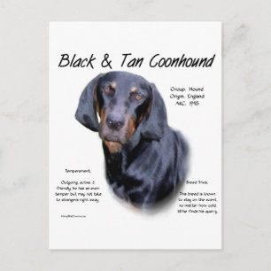 Black and Tan Coonhound History Postcard