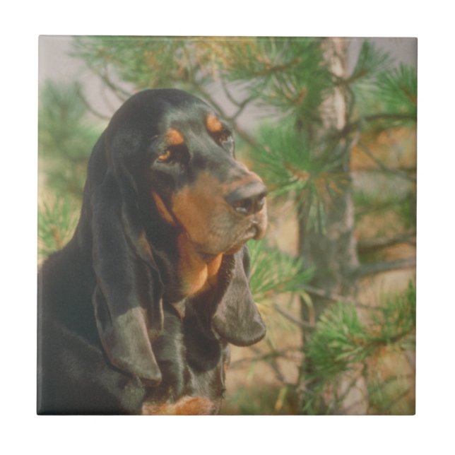 Black and Tan Coonhound Tile (Front)