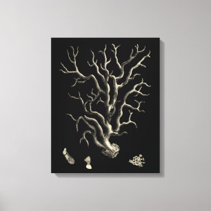 Black and Tan Coral Canvas Print