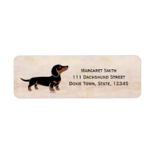 Black and Tan Dachshund Posing