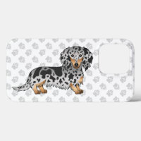 Black And Tan Dapple Long Hair Dachshund Dog