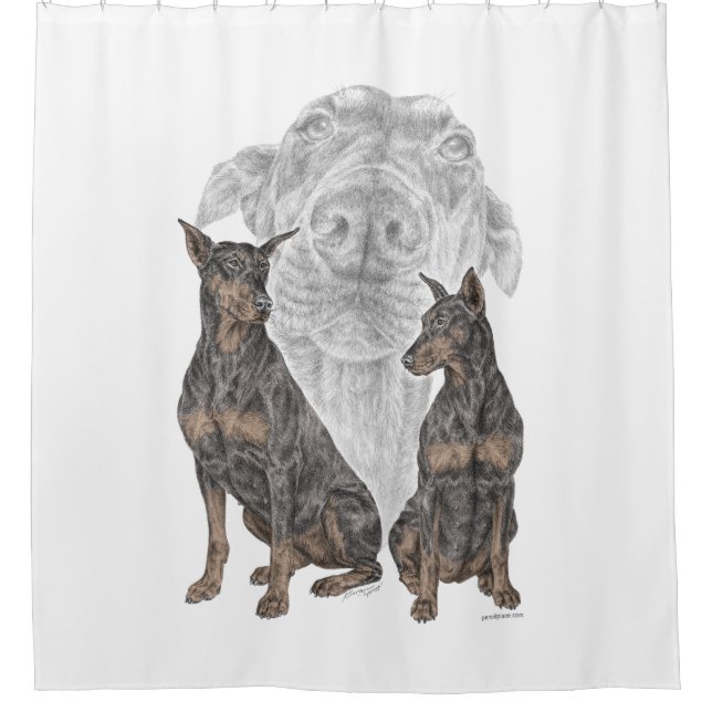 Black and Tan Doberman Dogs (Front)