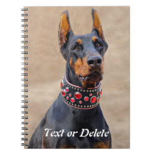 Black and Tan Doberman Pinscher in Jewelled collar Notebook