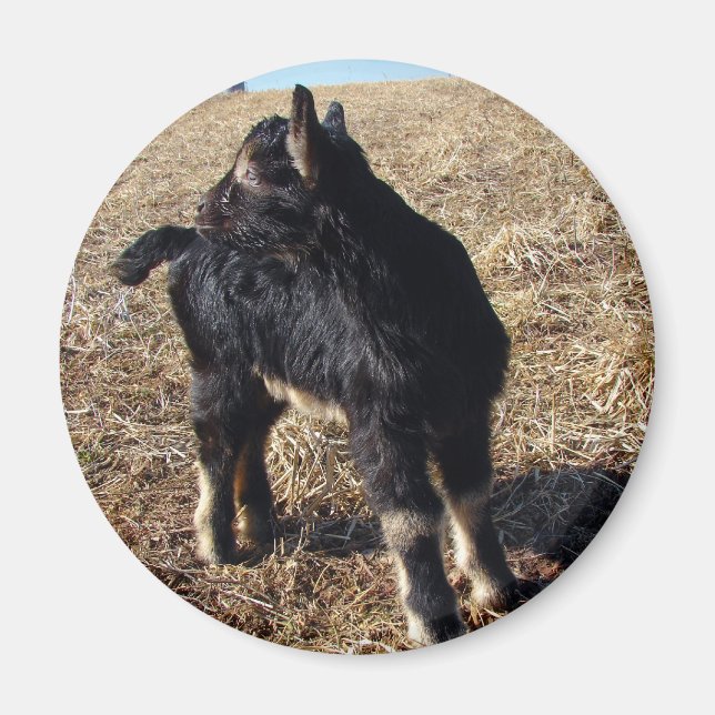 Black and Tan Kid Magnet (Front)