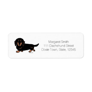 Black and Tan Long Haired Dachshund 1
