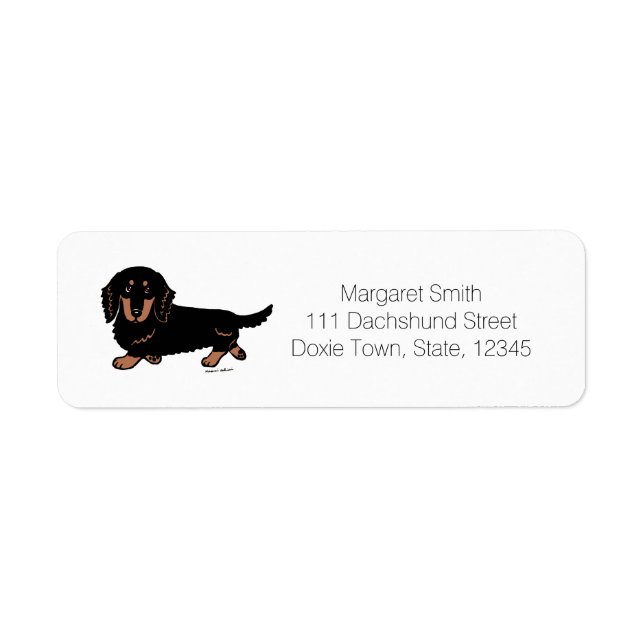 Black and Tan Long Haired Dachshund 1 (Front)