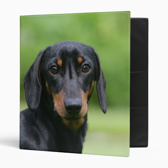 Black and Tan Miniture Dachshund 1 Binder (Front/Inside)