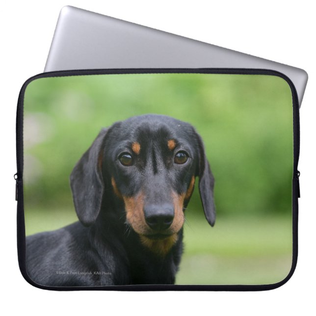Black and Tan Miniture Dachshund 1 Laptop Sleeve (Front)