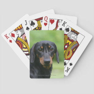 Black and Tan Miniture Dachshund 1 Playing Cards