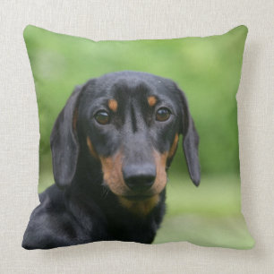 Black and Tan Miniture Dachshund 1 Throw Pillow