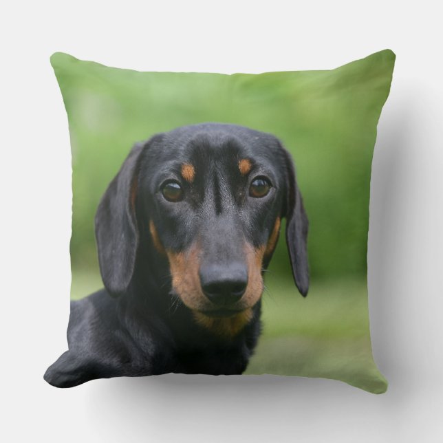 Black and Tan Miniture Dachshund 1 Throw Pillow (Front)