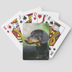 Black and Tan Miniture Dachshund 2 Playing Cards