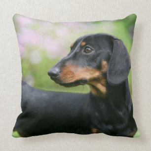 Black and Tan Miniture Dachshund 2 Throw Pillow
