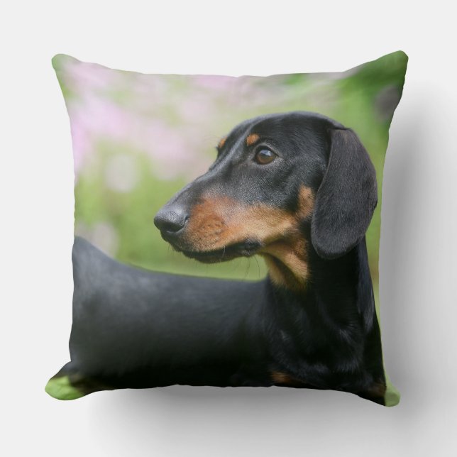 Black and Tan Miniture Dachshund 2 Throw Pillow (Front)