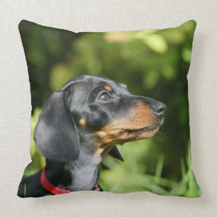 Black and Tan Miniture Dachshund 3 Throw Pillow