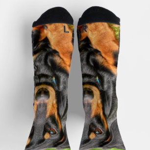 Black and Tan Smooth Dachshund Photo Socks
