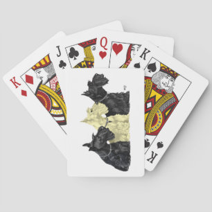 Black and Wheaten Scotties Playing Cards
