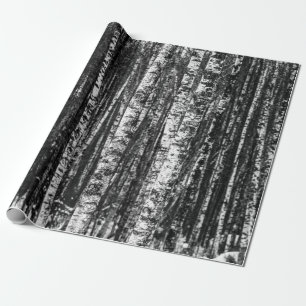 Black and White Abstract Birch Forest Wrapping Paper