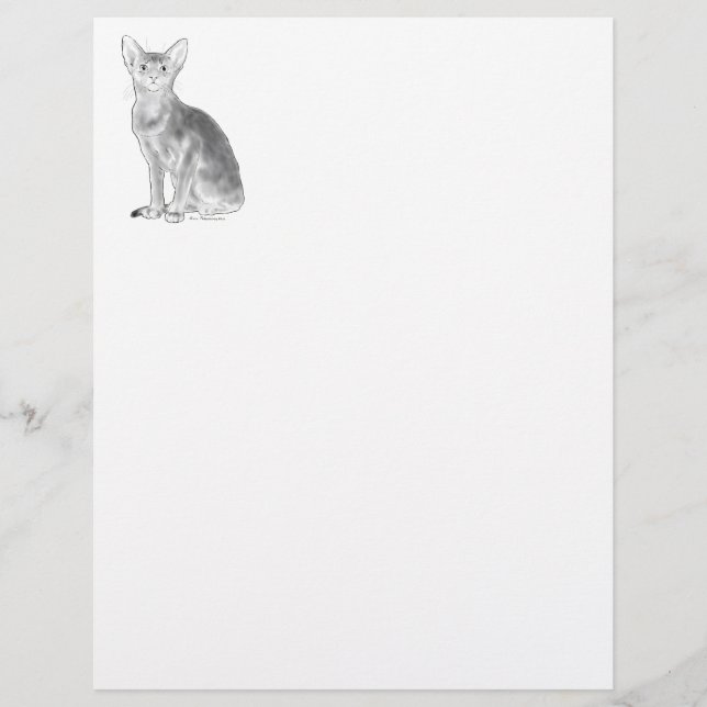 Black and White Aby (Front)