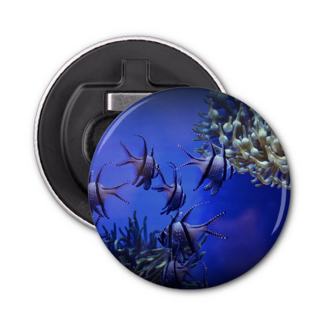 Black and White Angelfish in Deep Blue Sea Bottle Opener (Front)