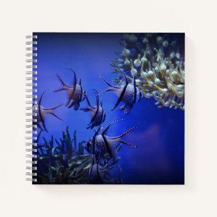 Black and White Angelfish in Deep Blue Sea Notebook