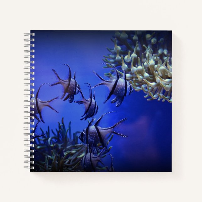 Black and White Angelfish in Deep Blue Sea Notebook (Front)