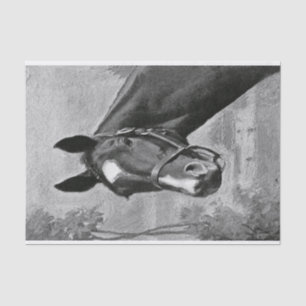 Black and White Antique Vintage Horse Illustration Tissue Paper
