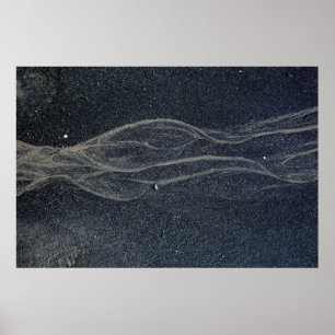 Black and white area rug poster