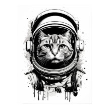 Black and White Astronaut Cat