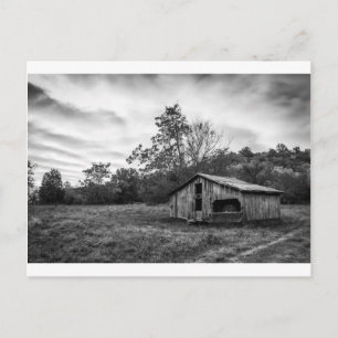 Black and White at Dawn Postcard