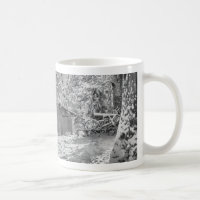 Black and White Backlit Rural Snow Scene
