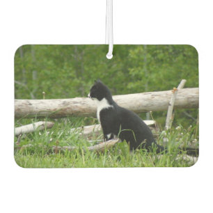 Black and White Barn Kitten Air Freshener