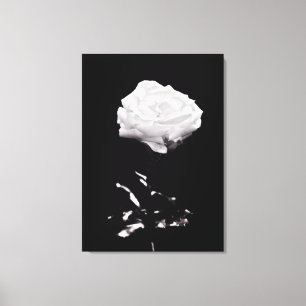 Black and White Beautiful Rose Close-up Canvas Print