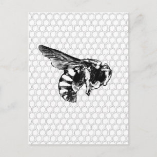 Black and White Bee Postcard