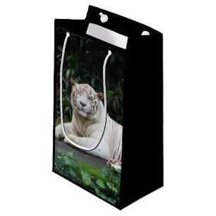 Black and White Bengal Tiger relaxed and smiling Small Gift Bag