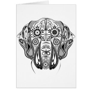 Black and White big dog