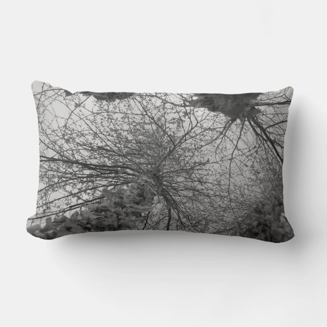 Black and White Birch Tree Lumbar Pillow (Front)