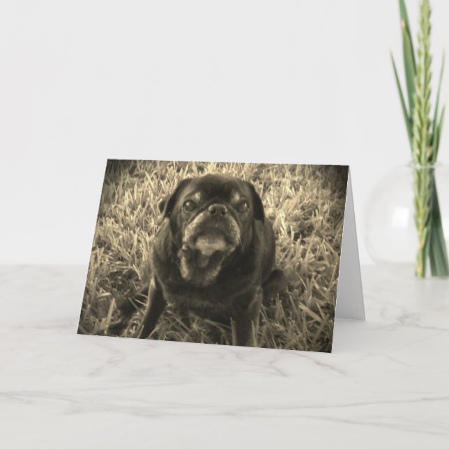 black and white Black Pug greeting card (Front)