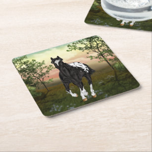 Black and White Blanket Appaloosa Horse Square Paper Coaster