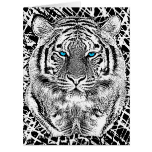 Black And White Blue Eyes Tiger design