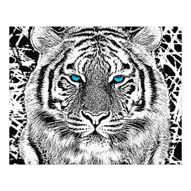 Black And White Blue Eyes Tiger Graphic Photo Print (Front)