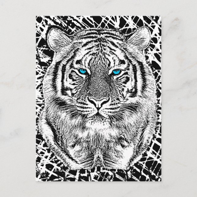 Black And White Blue Eyes wild Tiger face Postcard (Front)