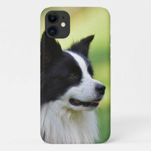 Black and White Border Collie Dog iPhone 11 Case